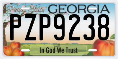 GA license plate PZP9238