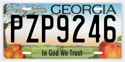GA license plate PZP9246