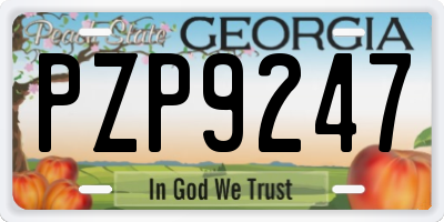GA license plate PZP9247