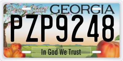 GA license plate PZP9248