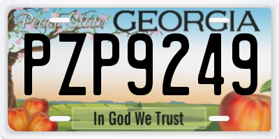 GA license plate PZP9249