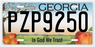 GA license plate PZP9250