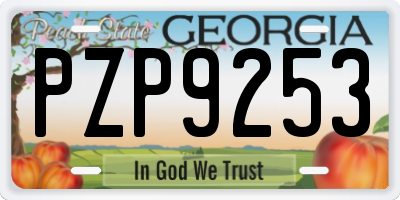 GA license plate PZP9253