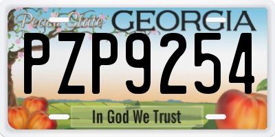GA license plate PZP9254
