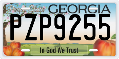 GA license plate PZP9255