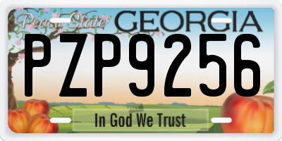GA license plate PZP9256