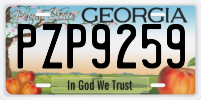 GA license plate PZP9259