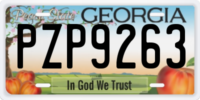GA license plate PZP9263