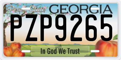 GA license plate PZP9265