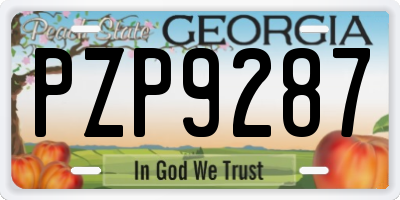 GA license plate PZP9287