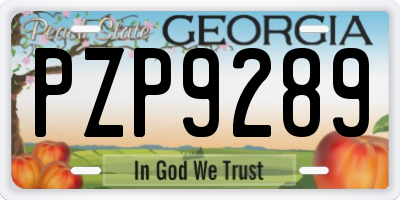 GA license plate PZP9289