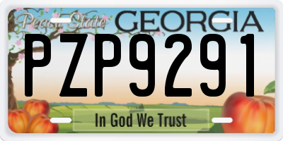 GA license plate PZP9291