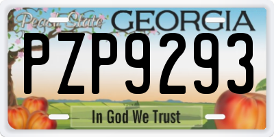 GA license plate PZP9293