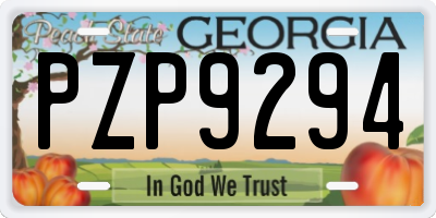 GA license plate PZP9294