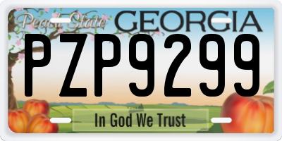 GA license plate PZP9299