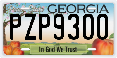 GA license plate PZP9300