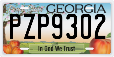 GA license plate PZP9302