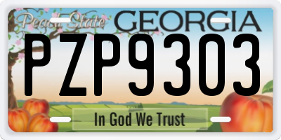 GA license plate PZP9303