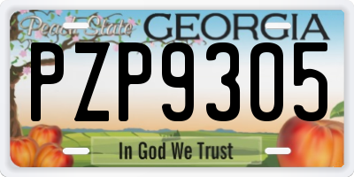 GA license plate PZP9305