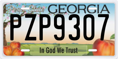 GA license plate PZP9307