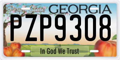 GA license plate PZP9308