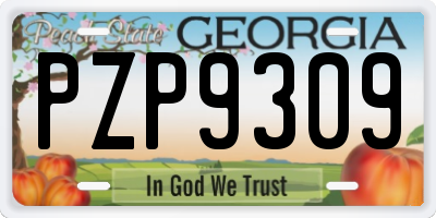 GA license plate PZP9309