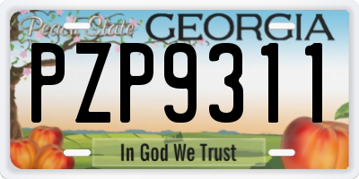 GA license plate PZP9311