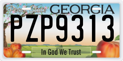 GA license plate PZP9313