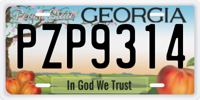GA license plate PZP9314