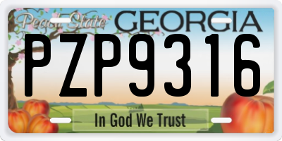 GA license plate PZP9316