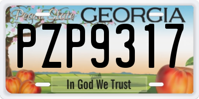 GA license plate PZP9317