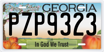 GA license plate PZP9323
