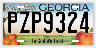GA license plate PZP9324