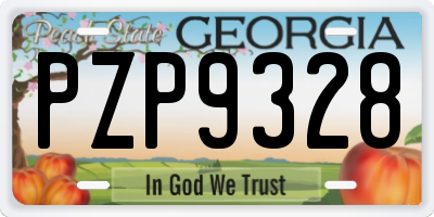 GA license plate PZP9328