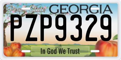 GA license plate PZP9329