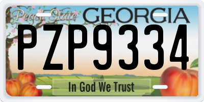 GA license plate PZP9334