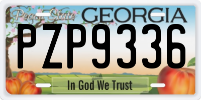 GA license plate PZP9336