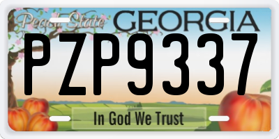 GA license plate PZP9337