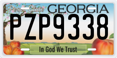 GA license plate PZP9338