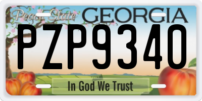 GA license plate PZP9340