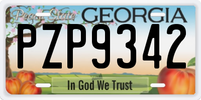GA license plate PZP9342