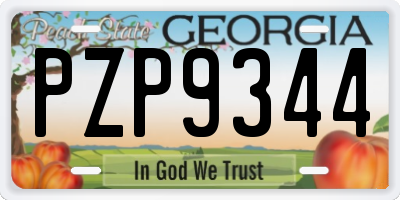 GA license plate PZP9344