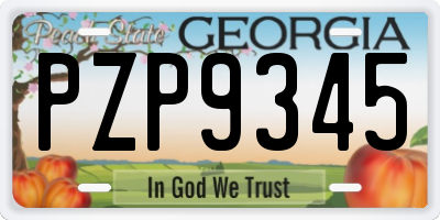 GA license plate PZP9345