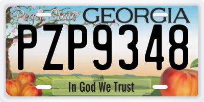 GA license plate PZP9348