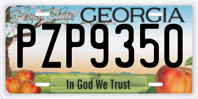 GA license plate PZP9350
