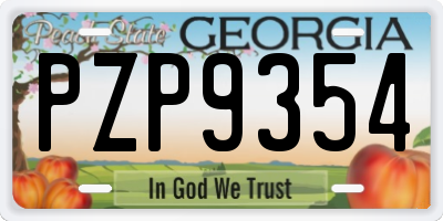 GA license plate PZP9354