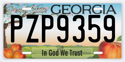 GA license plate PZP9359
