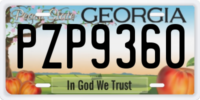GA license plate PZP9360