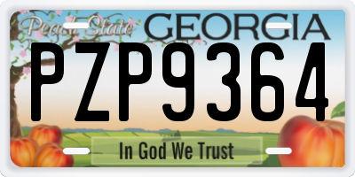 GA license plate PZP9364