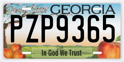 GA license plate PZP9365